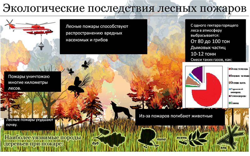 пожар 2.jpg